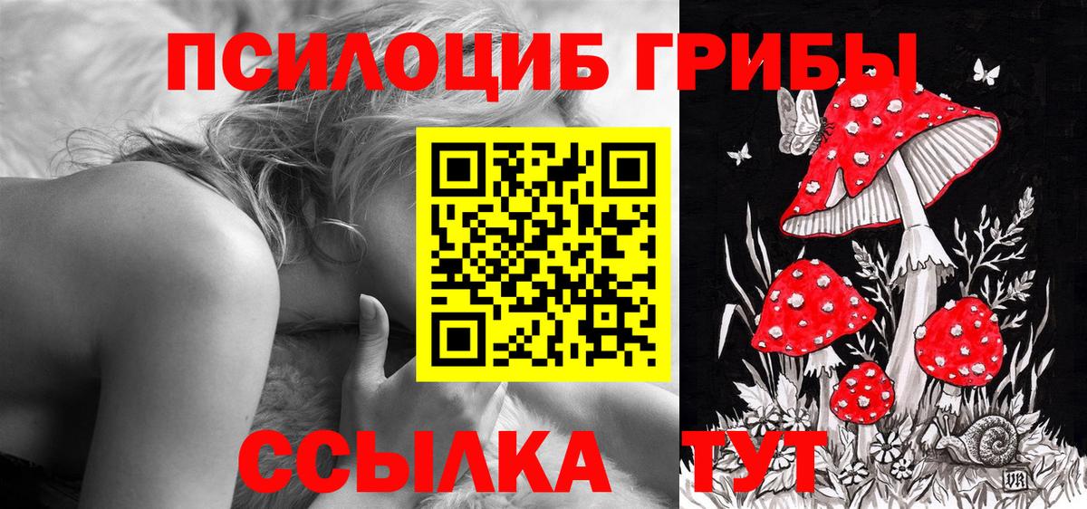 Псилоцибиновые грибы Psilocybine cubensis Калуга