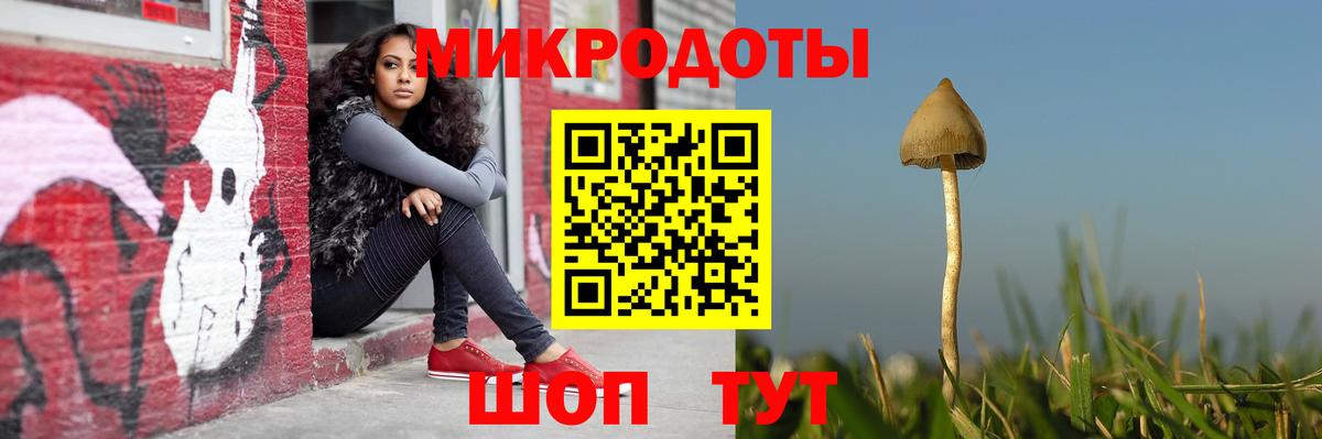 Калуга  Псилоцибиновые грибы Psilocybine cubensis  Вход с VPN 